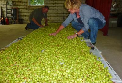 Hoptuin Odijk